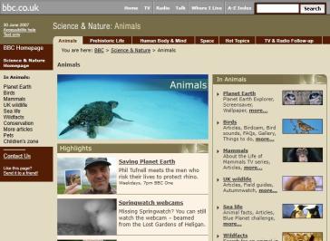 Animals Website