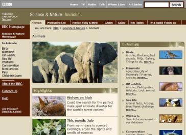 Animals Website