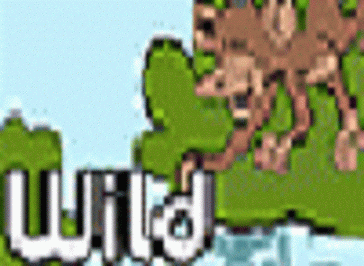 CBBC Wild