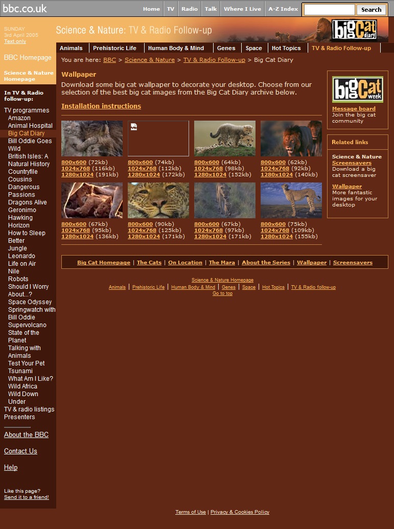 Big Cat Diary 2005 Website