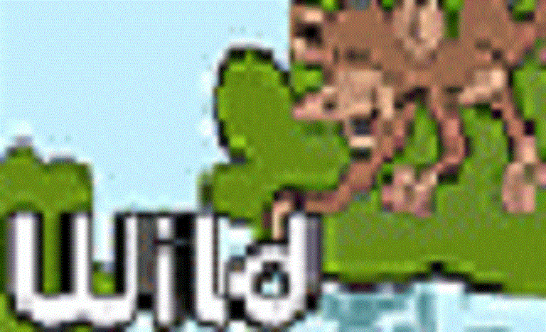 CBBC Wild
