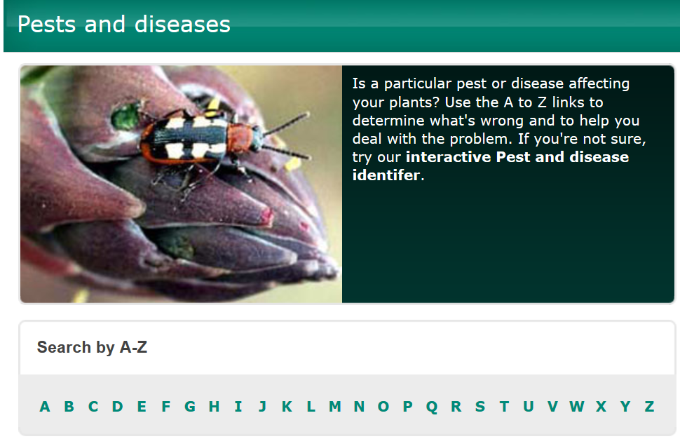 Pest & Disease Identifier