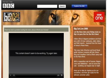 Big Cat Live 2008 Website