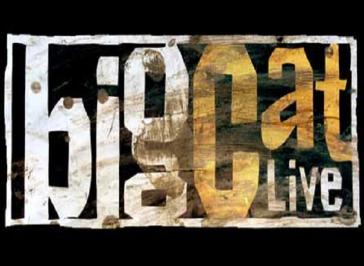 Big Cat Live