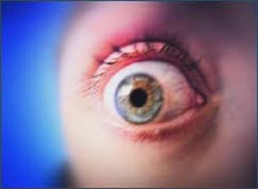 Human Senses