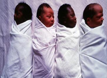 Starting Life